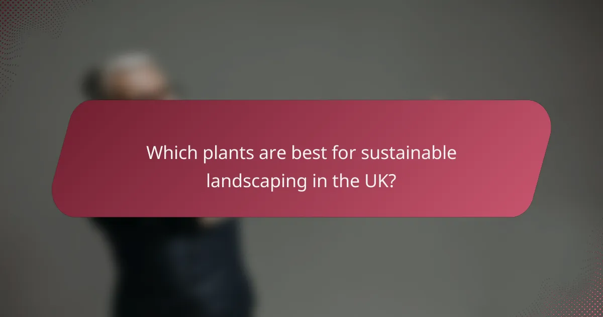 Which plants are best for sustainable landscaping in the UK?